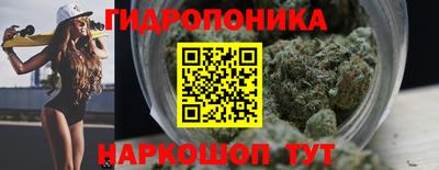 герыч Кингисепп